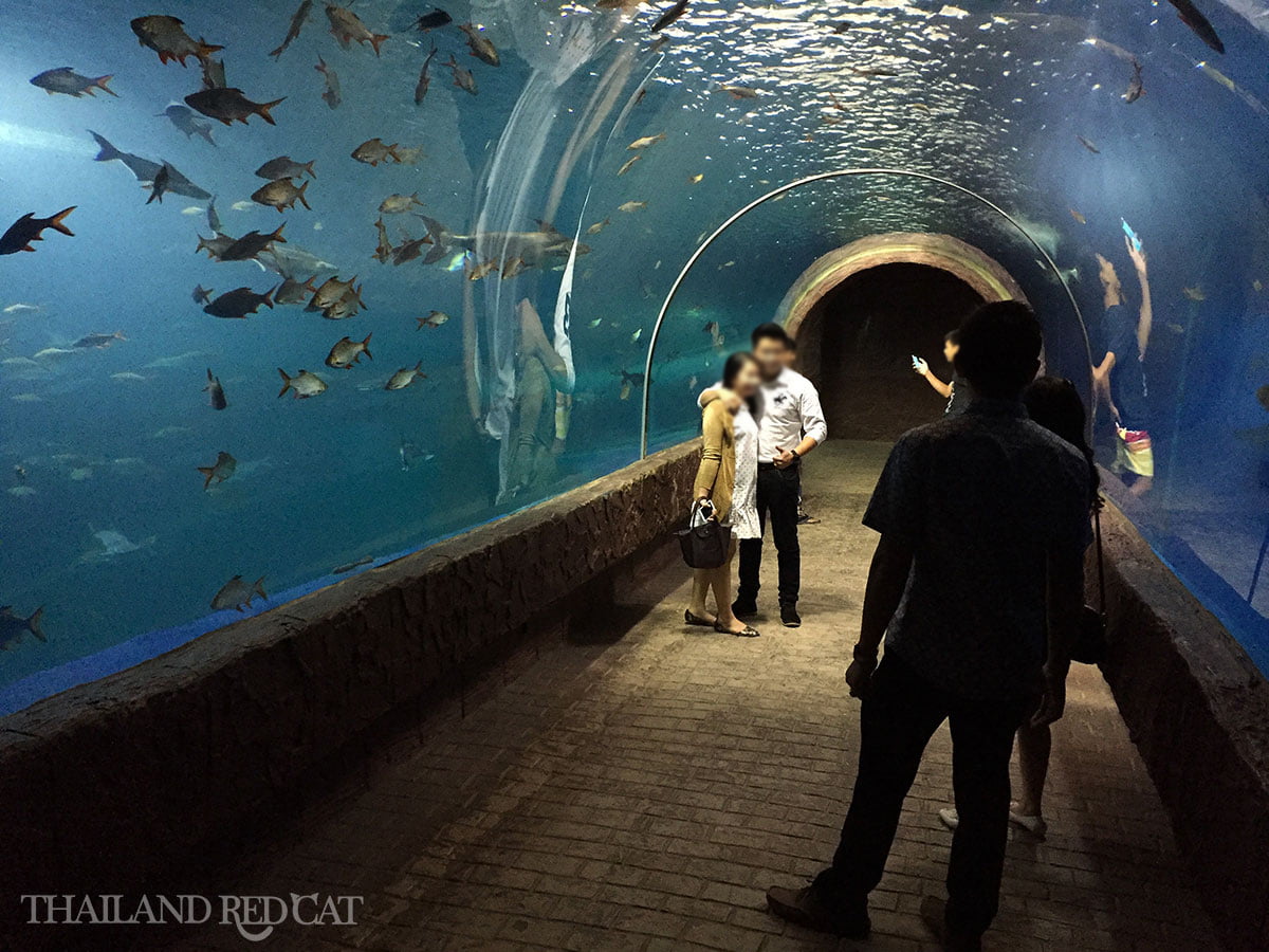 Aquarium in Nong Khai