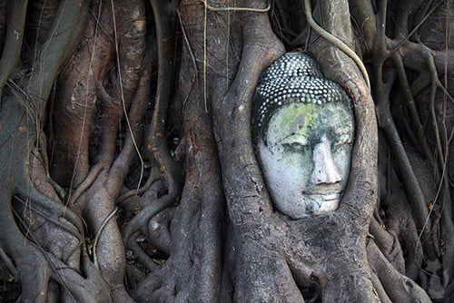 Ayutthaya Wat Mahathat