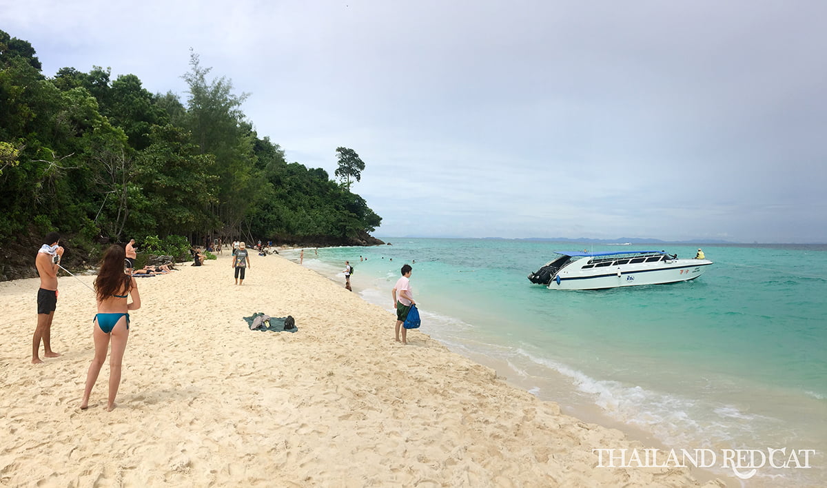 Bamboo Island