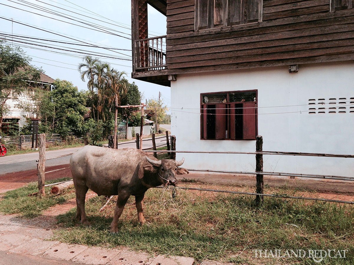 Ban Chiang Village