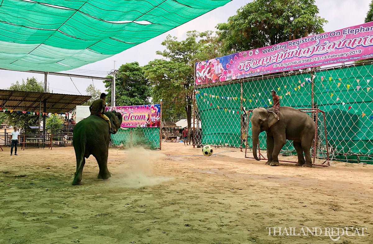 Ban Taklang Elephant Village