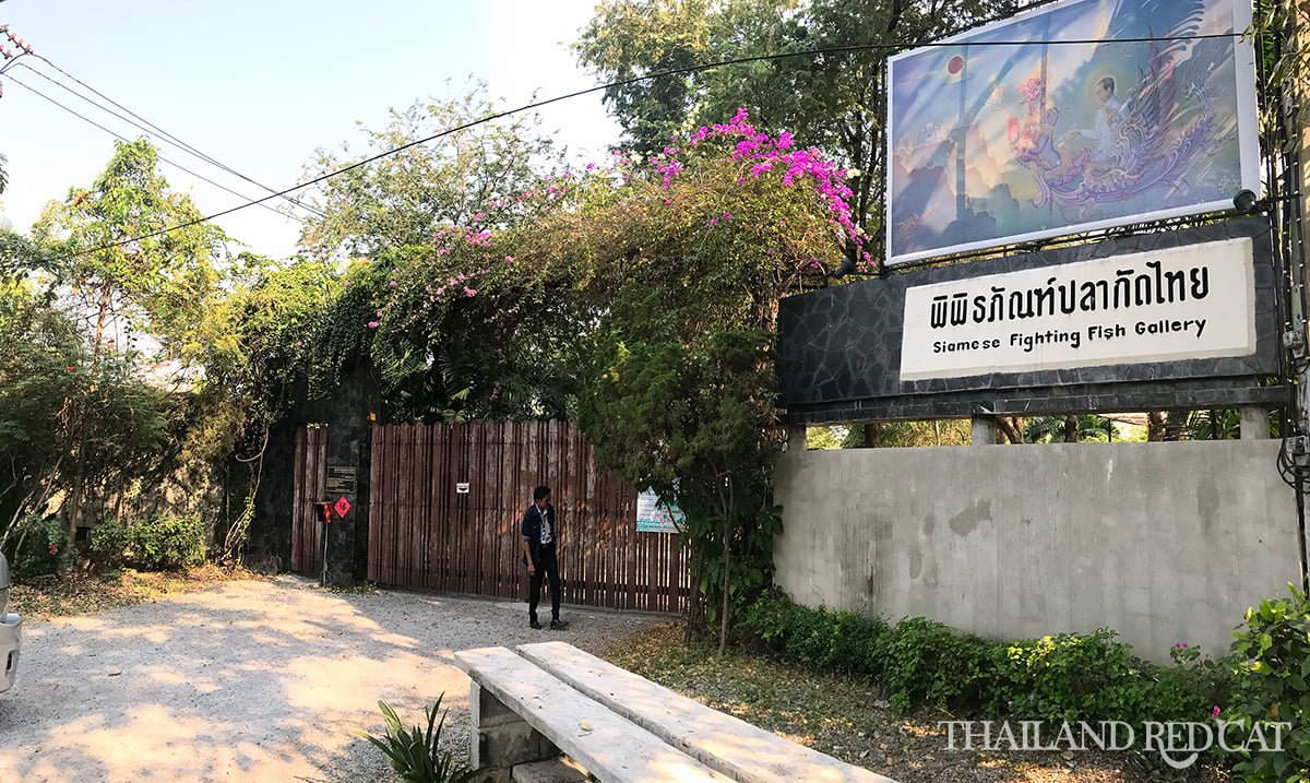 Bang Krachao Fish Museum