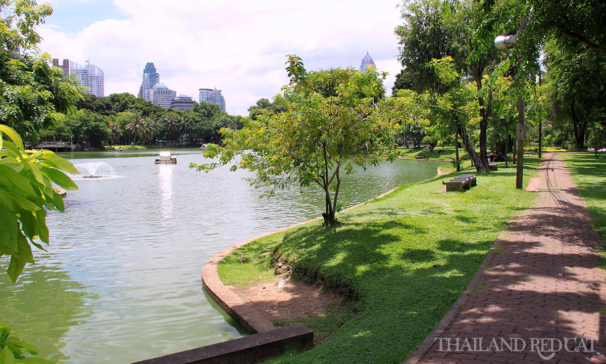 Bangkok Park