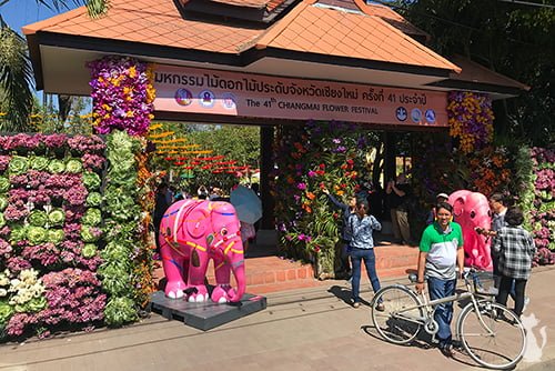 Chiang Mai Flower Festival 2