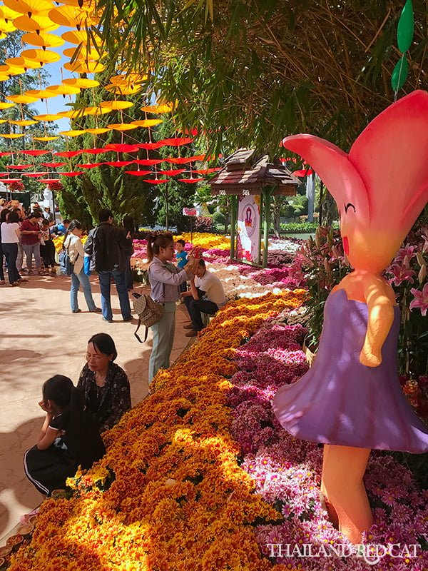 Chiang Mai Flower Festival