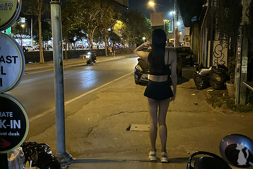 Chiang Mai Ladyboy Sex Worker