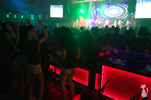 Chiang Mai Ladyboys in Night Club