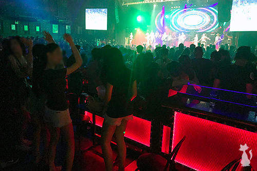 Chiang Mai Ladyboys in Nightclub