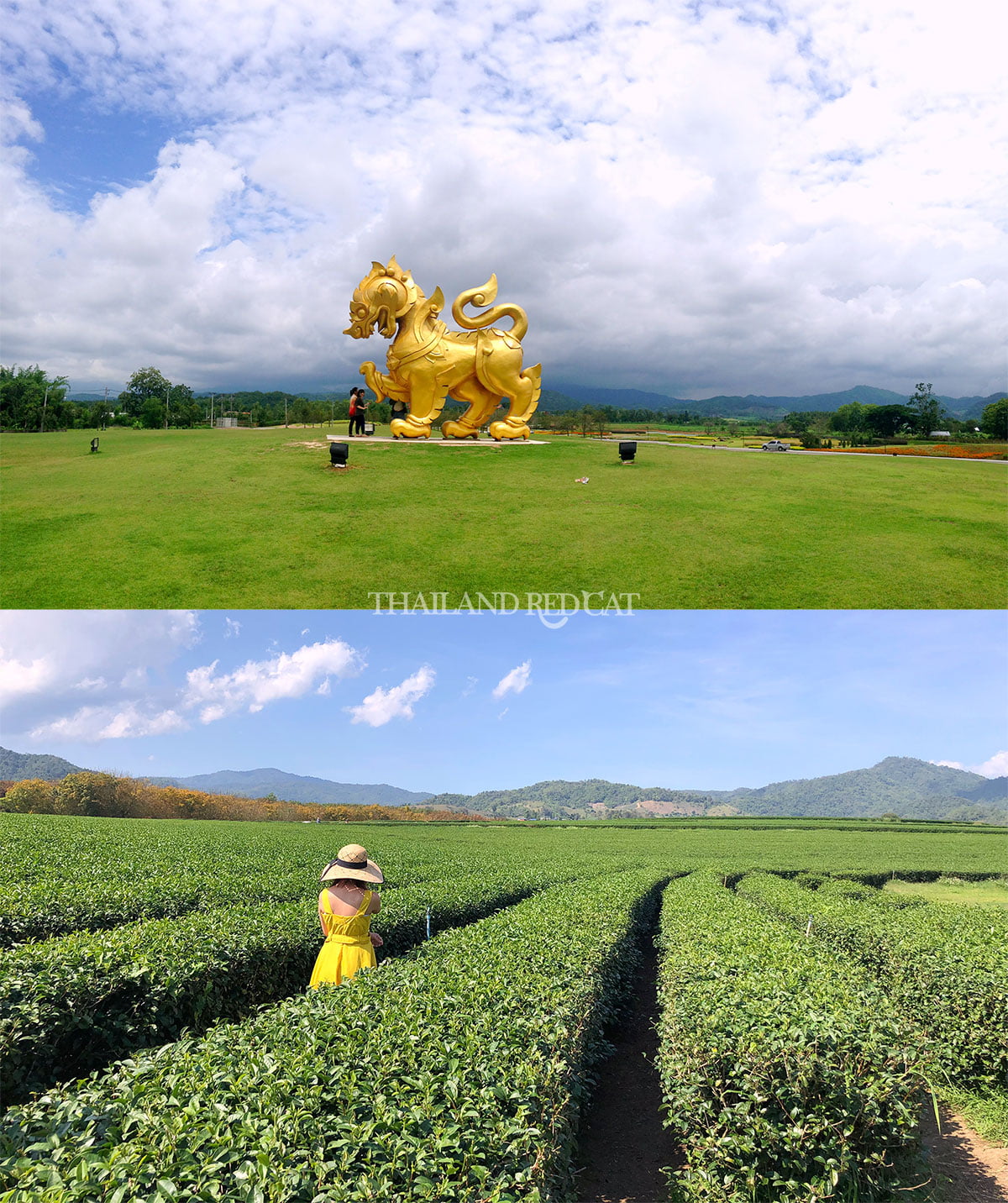 Chiang Rai Singha Park