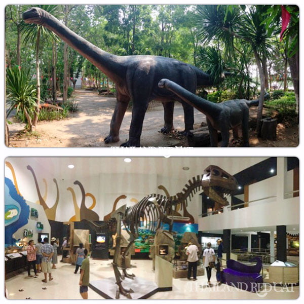 Dinosaur Museum in Khon Kaen