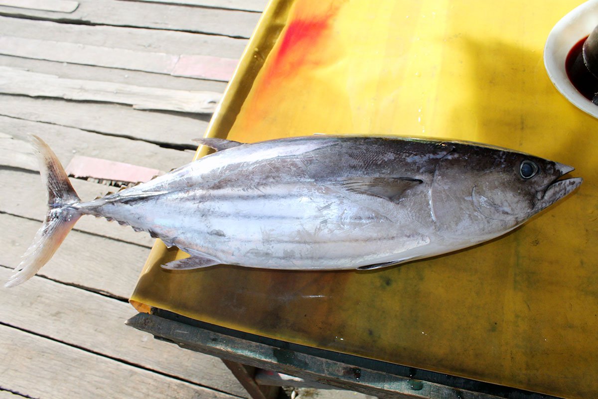 Fishing in Thailand