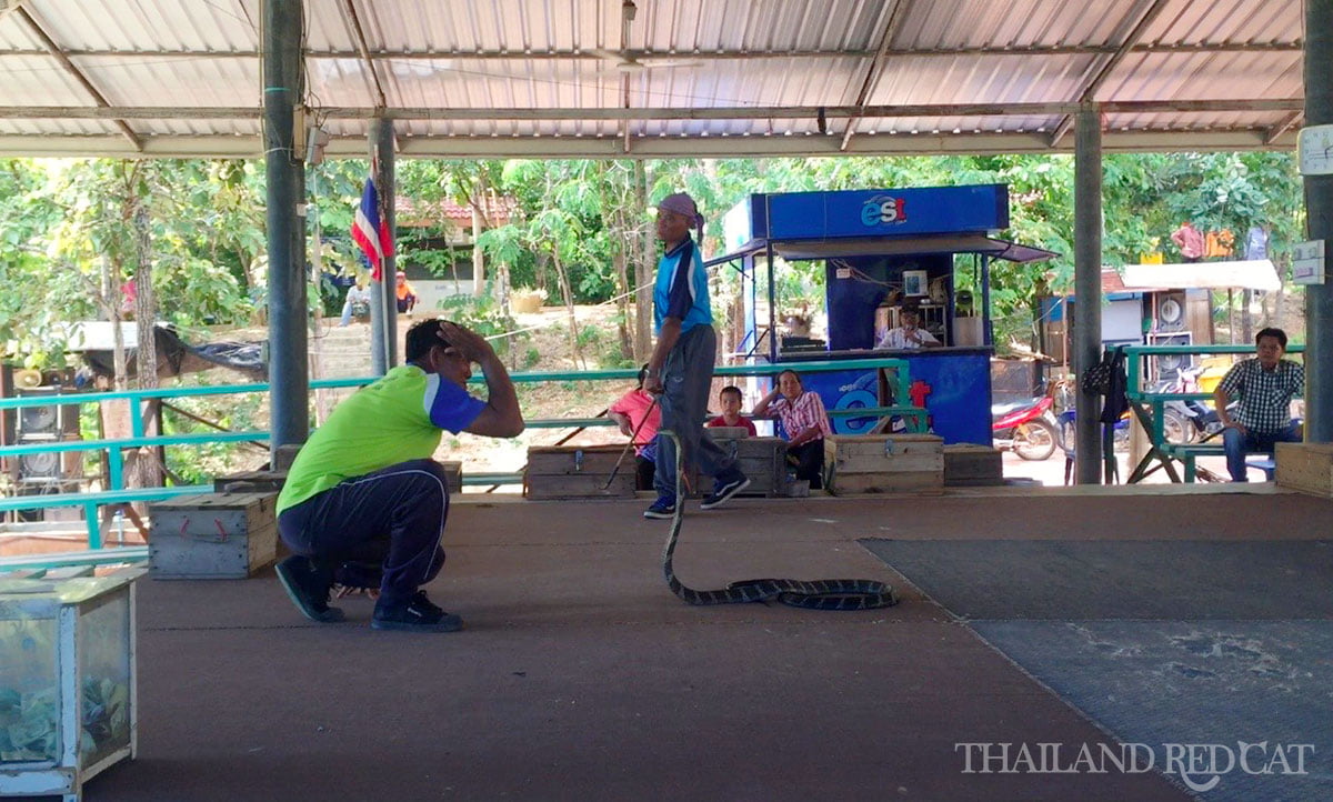 King Cobra Village in Khon Kaen