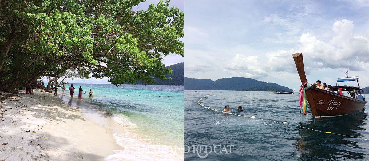 Koh Lipe Snorkeling