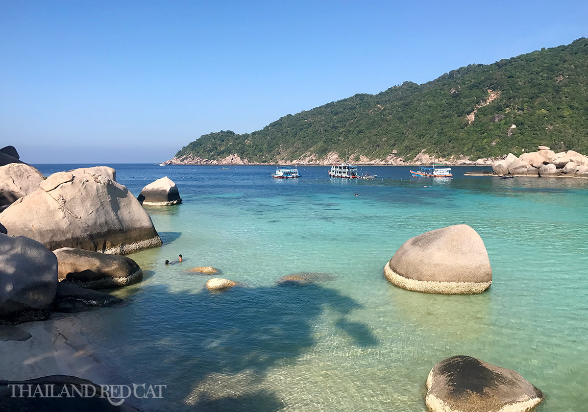 Koh Nang Yuan Swimming