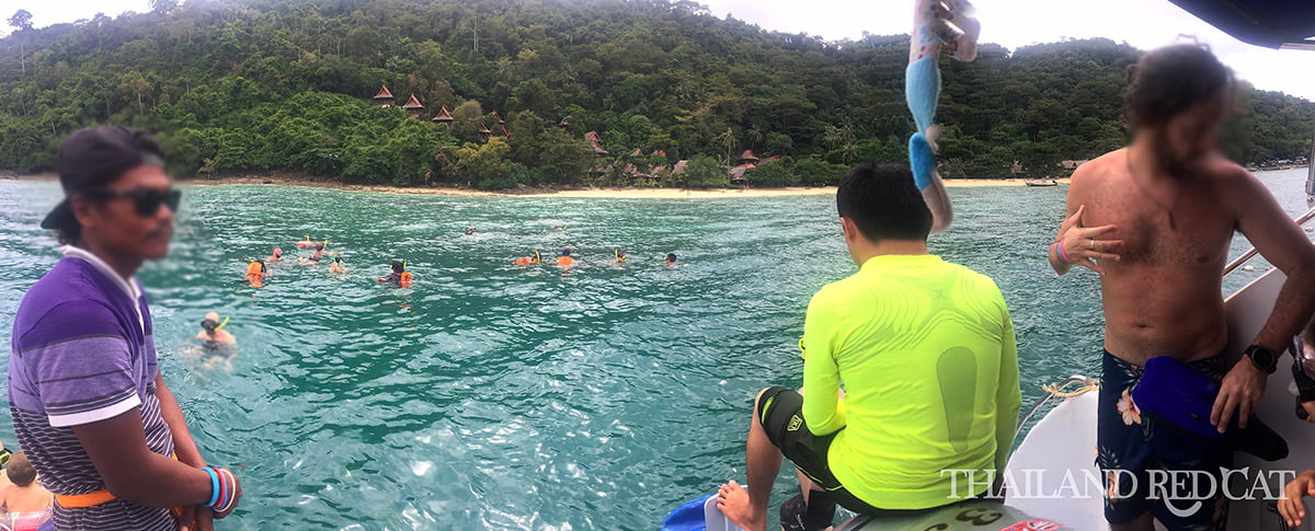 Koh Phi Phi Snorkeling