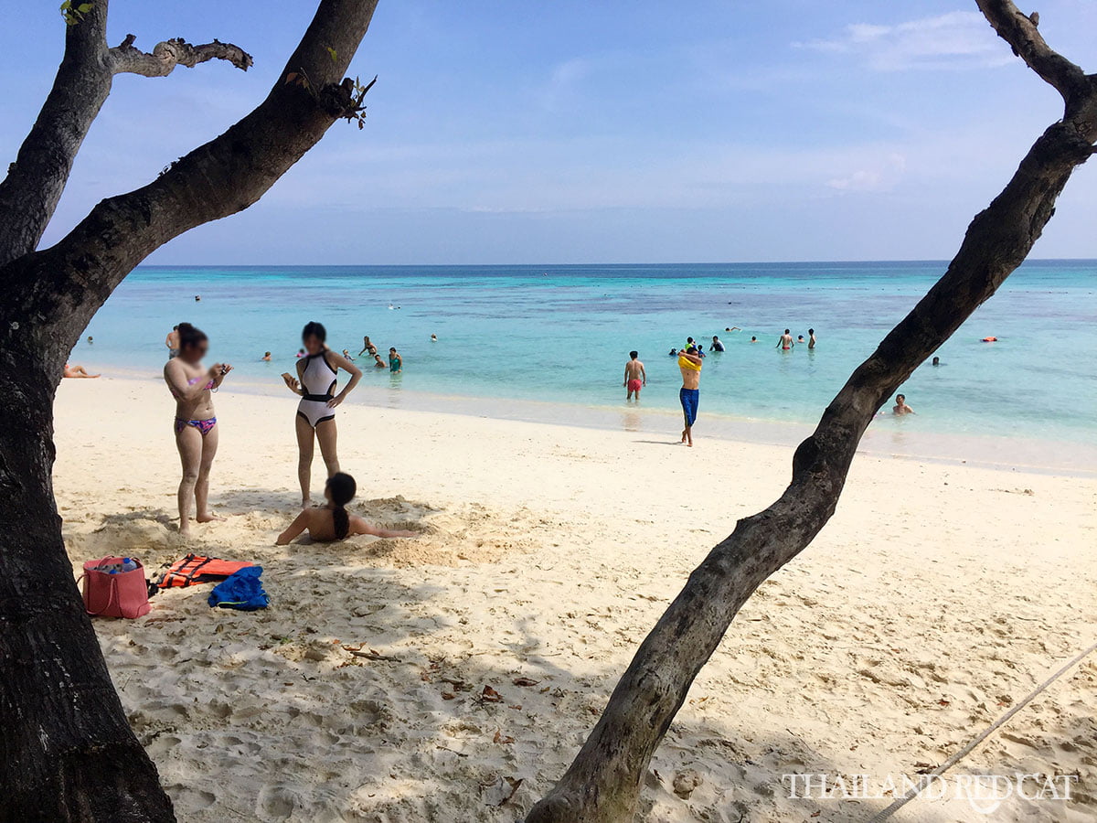 Koh Rok Trip 9