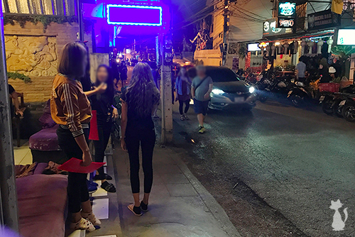 Ladyboy Massage in Chiang Mai