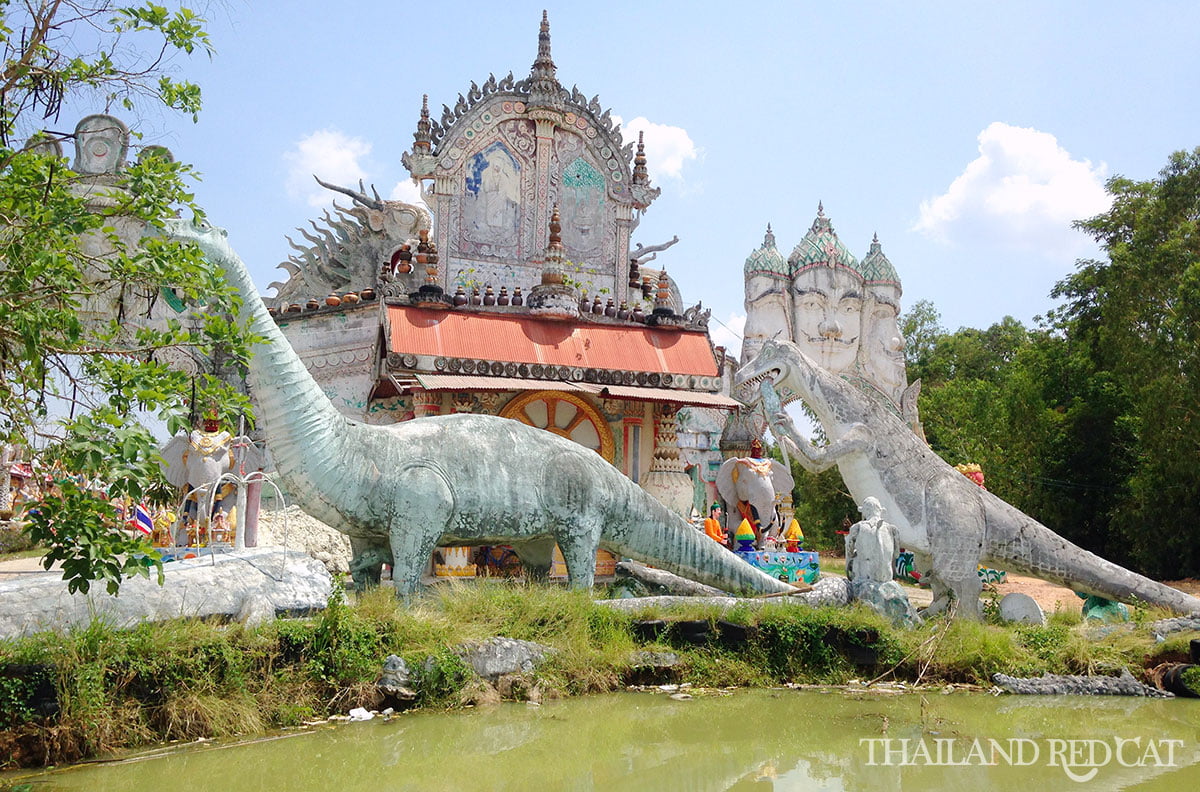 Roi Et Attraction