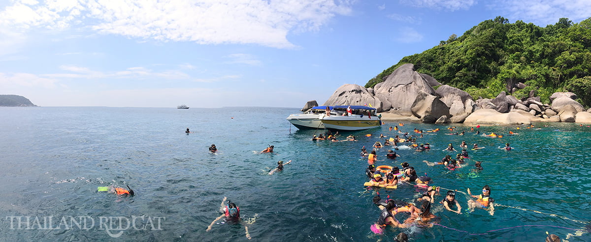 Similan Islands Snorkeling