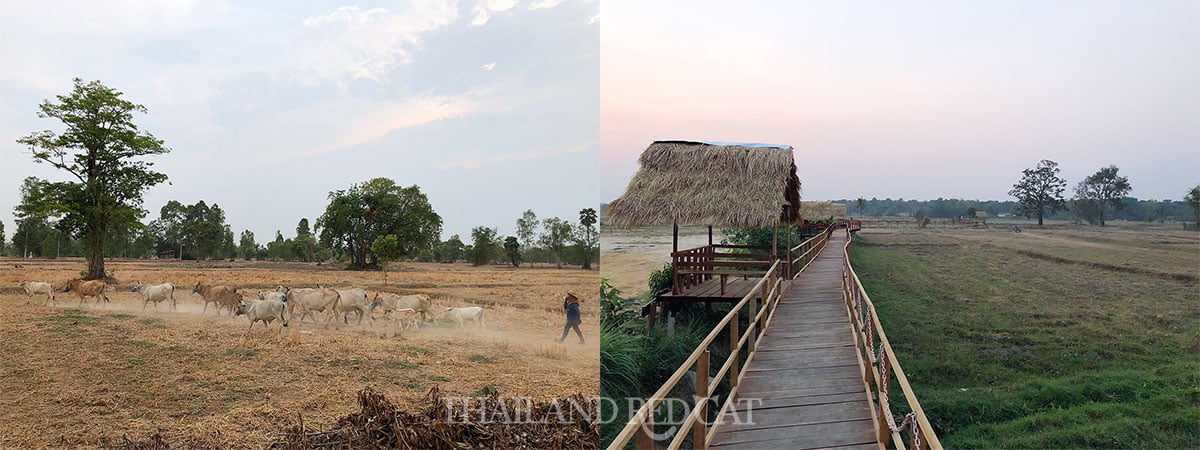 Sisaket Countryside