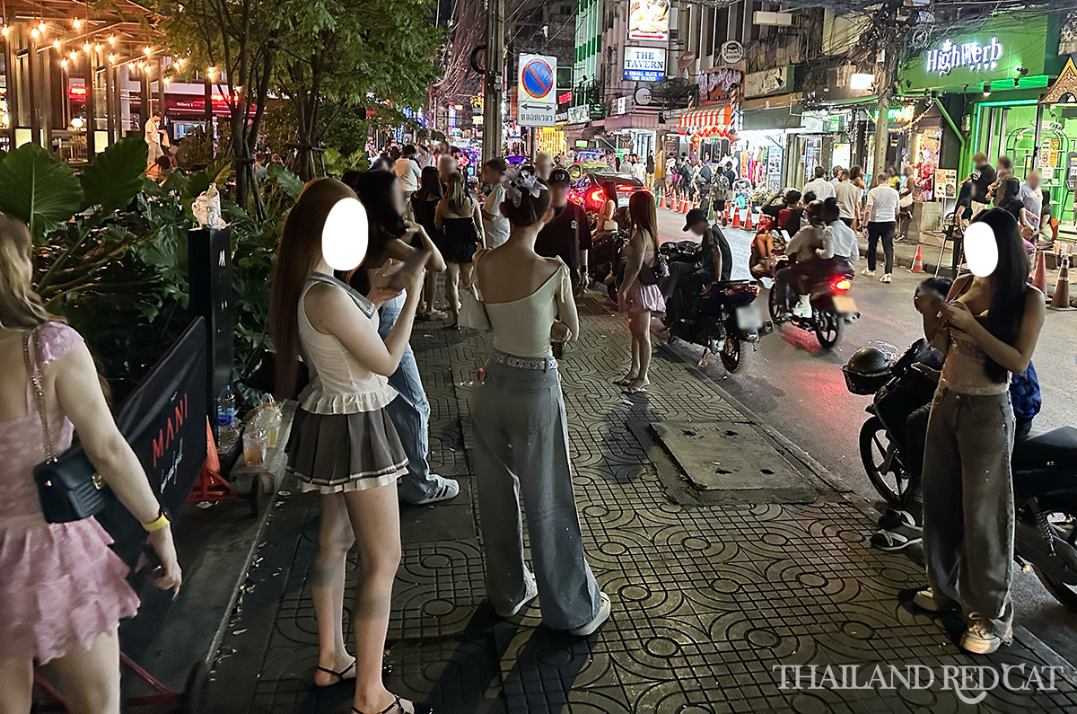 Thai Ladyboys for Sex Thai Ladyboys for Sex