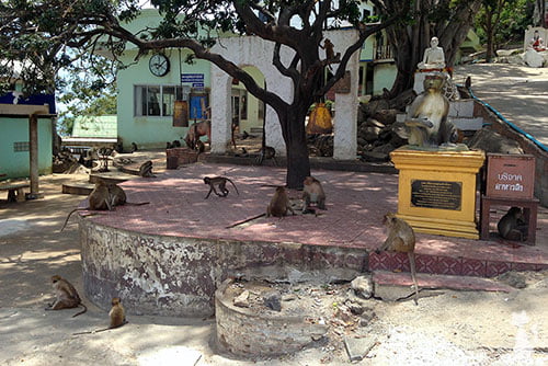 Wat Khao Takiap Hua Hin