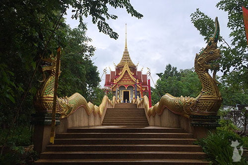 Wat Pa Dak Suea