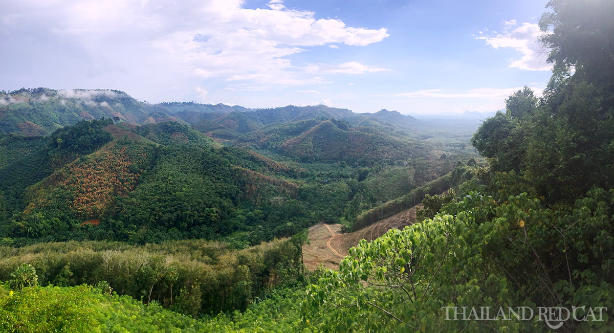 Wat Rat Upatham View Point